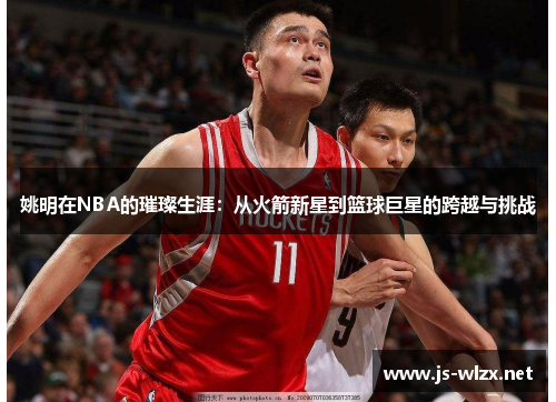 姚明在NBA的璀璨生涯：从火箭新星到篮球巨星的跨越与挑战